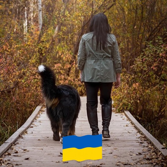 Meet your Posher, Liz - Picture 1 of 1